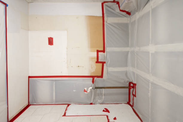 Best Emergency Mold Remediation  in Rigby, ID