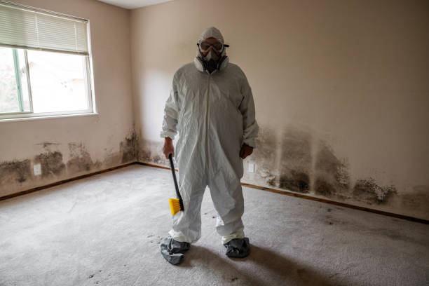 Asbestos and Lead Testing During Mold Inspection in Rigby, ID